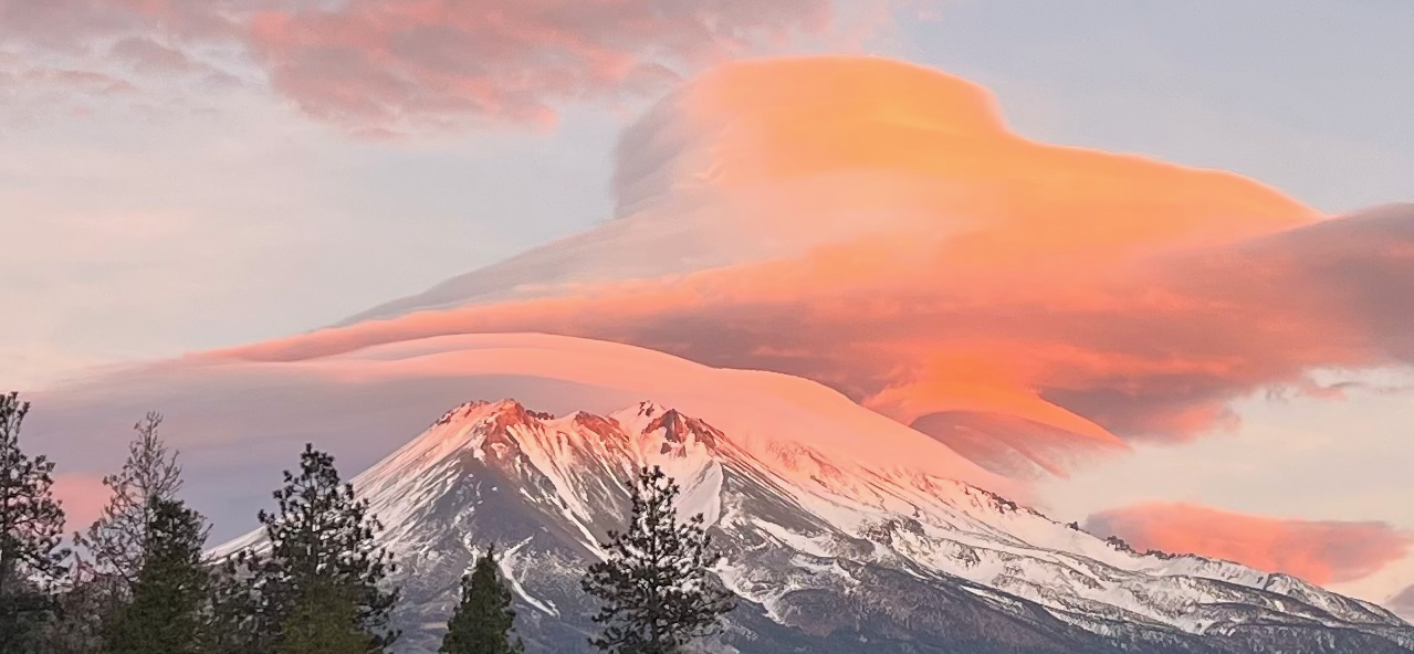 Mount Shasta rising above Northern California forest